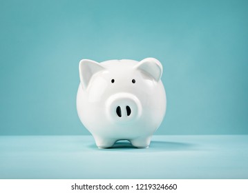 White Piggy Bank Looking Straight Ahead On A Blue Background