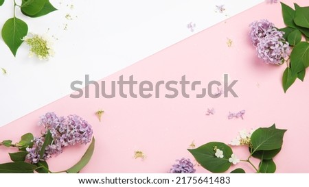 White and pink background with lilac flowers. Spring natural background. Top view, flat lay, copy space