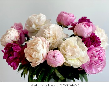 White, pink and crimson peonies. Romantic bouquet  - Shutterstock ID 1758824657