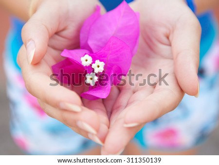 White pink flower in women's hands, close-up