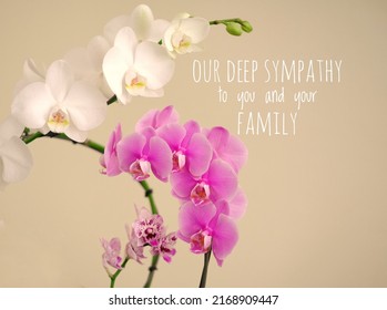 White And Pink Orchids. Sympathy Card