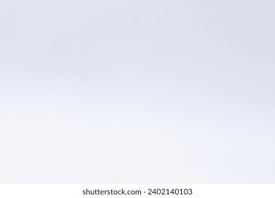 White plain background shoot in studio. 