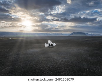 A white plane wreck rests on a desolate black sand beach in Iceland. The sun shines brightly, casting light on the barren landscape with distant mountains. - Powered by Shutterstock