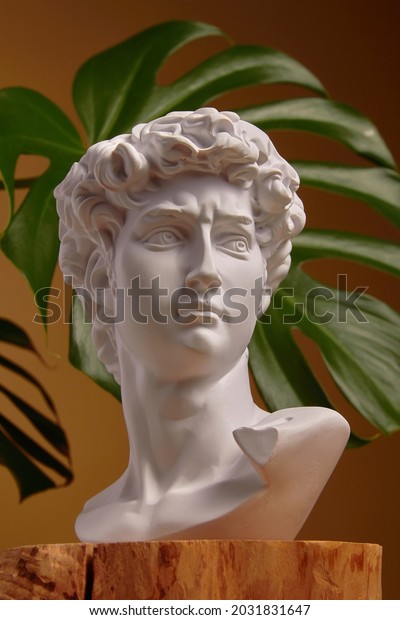 White plaster\
bust sculpture portrait of a young man. White plaster bust\
sculpture portrait of a young man. Gypsum statue of David\'s head.\
Michelangelo\'s David statue plaster copy.\
