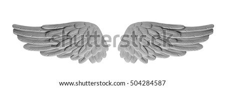 White plaster wings on isolated white background
