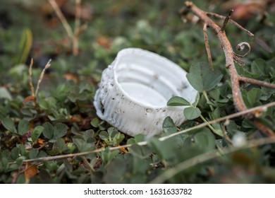 A White Plastic Bottle Cap In The Grass With Dog Or Animal Bite Marks. 