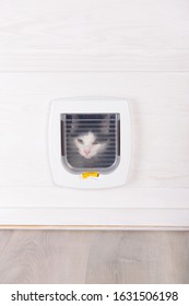 White Plastic Cat Door, Enterance To Cat Litter Box Or Outside