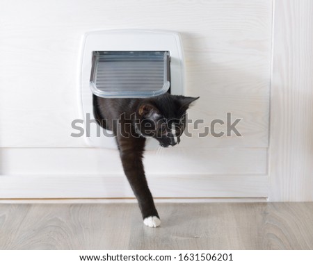 White plastic cat door, enterance to cat litter box or outside