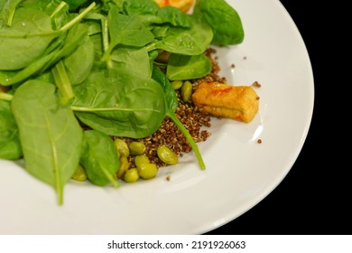 A white plate with green spinach, fried tofu, and quinoa on a black background. Heap. Quinoa. Appetizer. Vegan Food. Cuisine. Fried Tofu. Diner. Brunch. Eats. Nutriment. Foodstuff. Nutrient. Feed - Shutterstock ID 2191926063