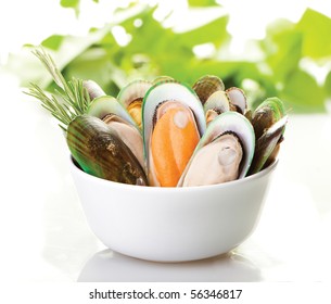A white plate of New Zealand mussels with a white background