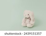 White plush toy rabbit isolated on pale green background; bunny perspective view