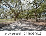 White Point Garden at the Battery in Charleston South Carolina with Southern Live Oak Trees. 