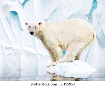 White polar bear against snow mountain