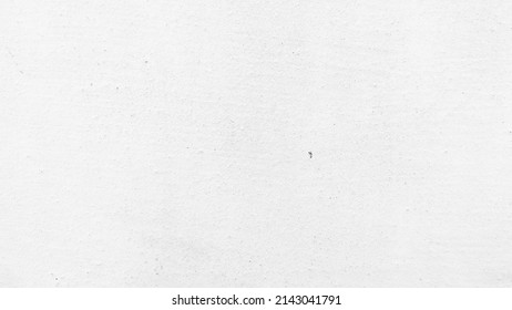 White Polish Mortar Texture,Cement Wall Background