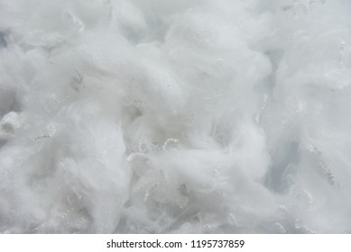 White Polyester Stable Fiber Fabric