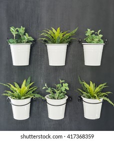 White Pot Of Green Plants Hanging On Wooden Black Wall