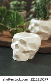 White pots for plants with succulents in the shape of a skull made of plaster, concrete. Creative Halloween floral concept. Fashion minimal art. Selective focus