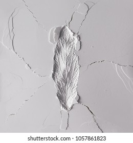 White Powder Texture With Fossil Like Leaf Impression. Minimalism Flat Lay.