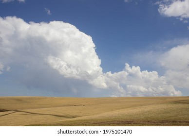white puffy clouds over the field, natural minimalism