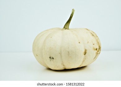 White Pumpkin, Pumpkin Lumina isolated on a white background