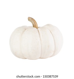 White Pumpkin On White Background