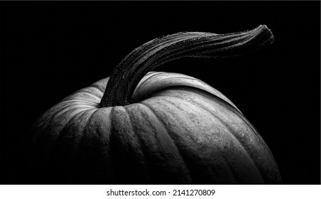 White Pumpkin With Twisted Stem