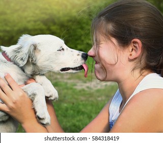 White Puppy Lick Girl Lips Close Up Summer Portrait