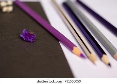 White and purple dried flowers lying on a sheet of gray paper
