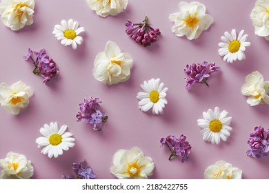 White and purple flowers pattern on a purple background viewed from above. Top view - Shutterstock ID 2182422755