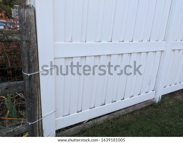 White PVC fence needs repairs, sistered with zip\
ties to old wooden fence\
post