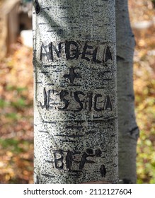 White Quaking Aspen Tree Trunk With Carved Words Angela + Jessica = BFF