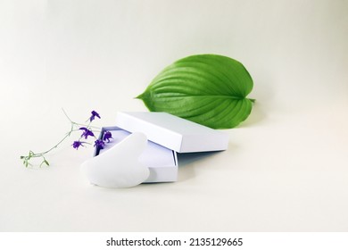 White Quartz Gouache Scraper In An Open Box, Flower On A Light Background, Top View, The Concept Of A Healthy Lifestyle, Rejuvenation, Home Body And Face Care