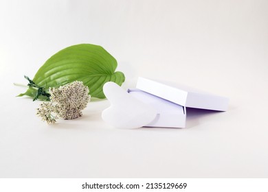 White Quartz Gouache Scraper In An Open Box, Flower On A Light Background, Top View, The Concept Of A Healthy Lifestyle, Rejuvenation, Home Body And Face Care