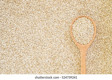 White Quinoa Grain In Wooden Spoon
