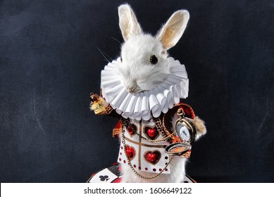 The white rabbit from Alice in wonderland taxidermy 