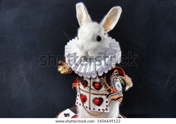 stuffed white rabbit alice wonderland