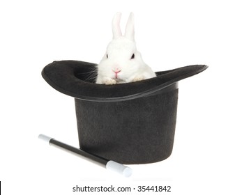 White Rabbit Inside Black Top Hat, On White Background