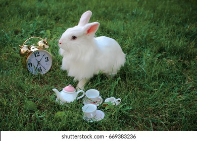 White Rabbit On Green Grass And Next To A Gold Watch Or Alarm Clock