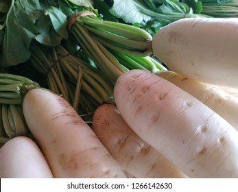 White Raddish Vegetables