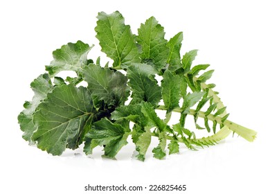 White Radish Leaves On White Background 