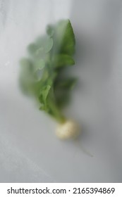 White radish in soft filter effects in light background. Abstract blurred vegetable background