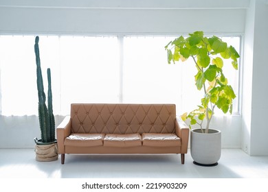 
White Refreshing Living Room Sofa Without People