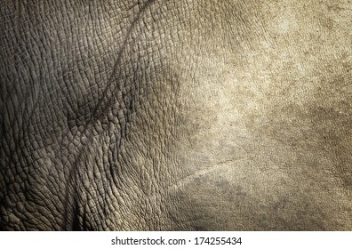 White rhino skin texture background