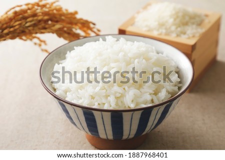 White rice in a bowl (Japanese style)