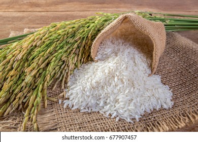 White rice (Jasmine rice)