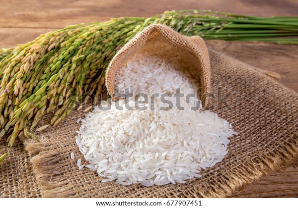 White Rice Jasmine Rice Stock Photo 677907451 | Shutterstock