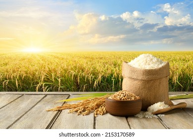 White rice and paddy rice with rice field background. - Shutterstock ID 2153170589