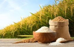 White Rice And Paddy Rice On Wooden Table With Rice Plant Background.