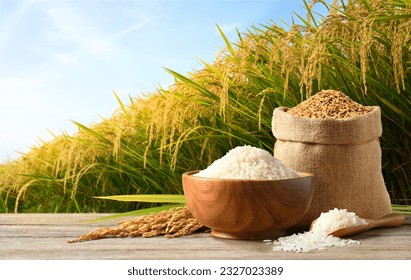 White rice and paddy rice on wooden table with rice plant background. - Powered by Shutterstock