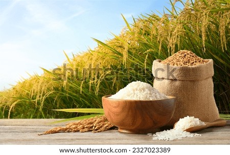 White rice and paddy rice on wooden table with rice plant background.